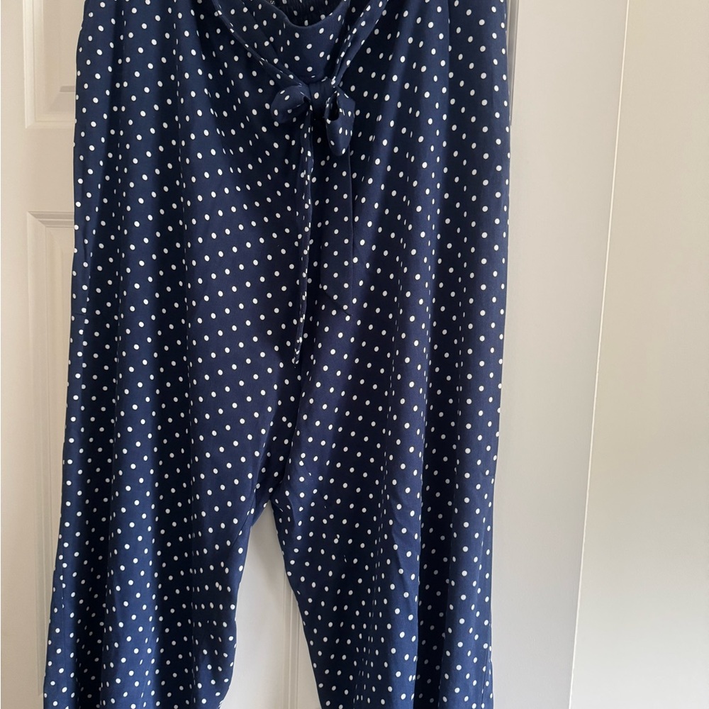 Talbots Navy Polka Dot Pants